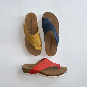 SLIDES